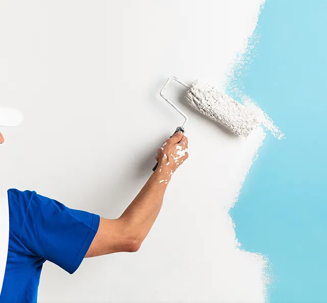 Paints & Coatings HPMC